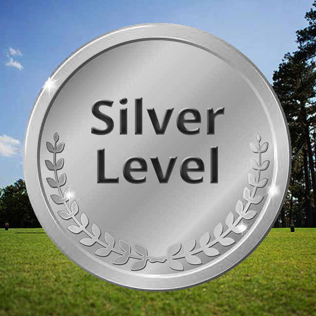Golf Open Level IV: Silver